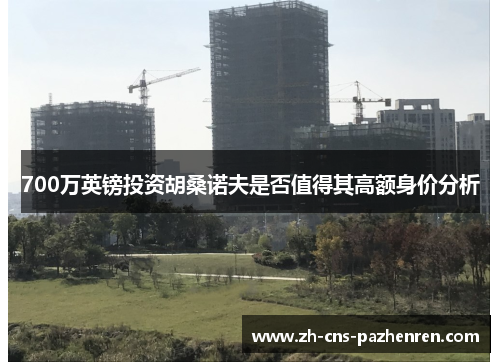 700万英镑投资胡桑诺夫是否值得其高额身价分析