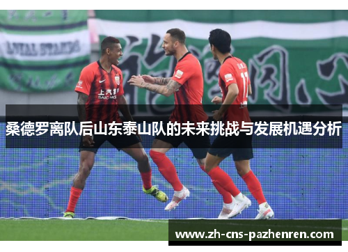 桑德罗离队后山东泰山队的未来挑战与发展机遇分析 桑德罗离队后山东泰山队的未来挑战与发展机遇分析