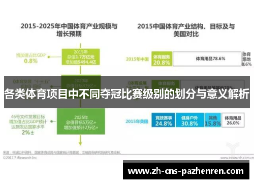 各类体育项目中不同夺冠比赛级别的划分与意义解析 各类体育项目中不同夺冠比赛级别的划分与意义解析