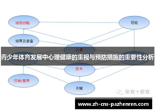 青少年体育发展中心理健康的重视与预防措施的重要性分析 青少年体育发展中心理健康的重视与预防措施的重要性分析